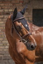 Bonnet chasse-mouches long PRO SERIES "Sport"