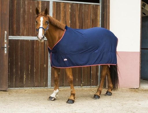 Chemise EQUITHÈME "Microfleece" standard