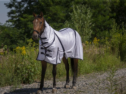 Chemise filet EQUITHÈME Combo