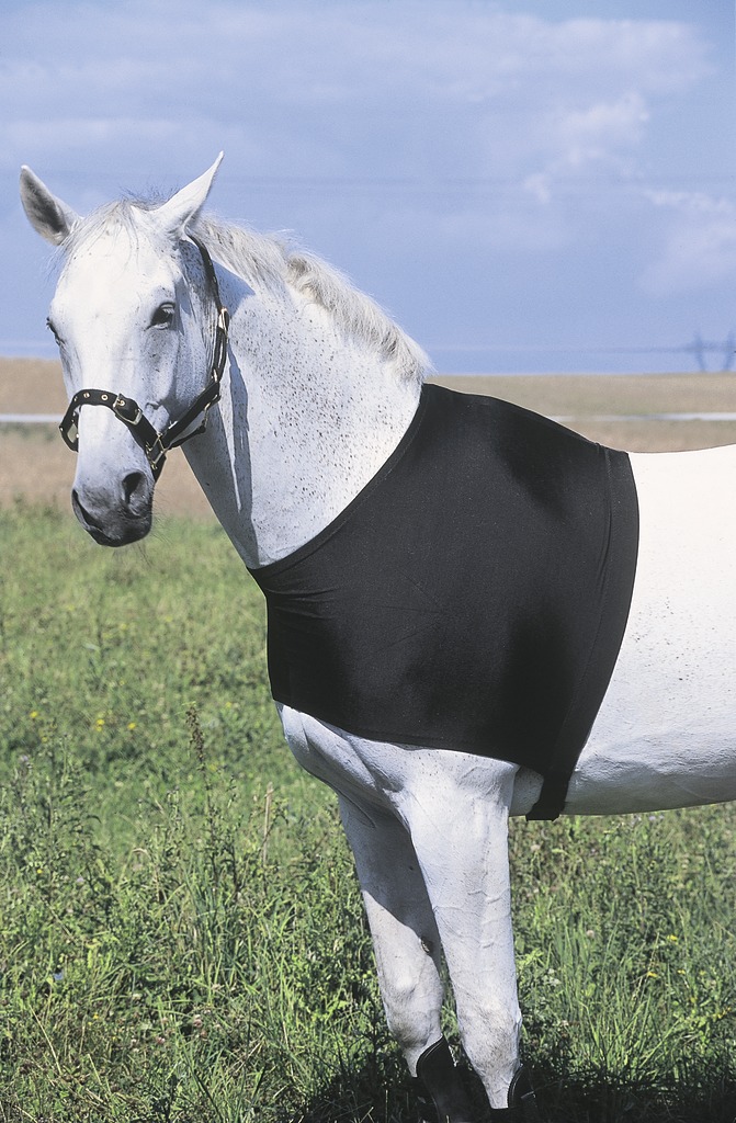 Protection d'épaules EQUITHÈME