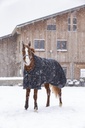 Couverture RIDING WORLD "Oxford" imperméable, doublée polaire