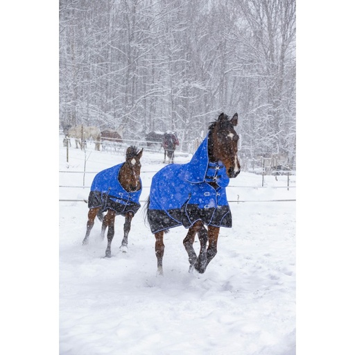 Couverture EQUITHÈME TYREX 1200D, 150g, "Aisance" High Neck