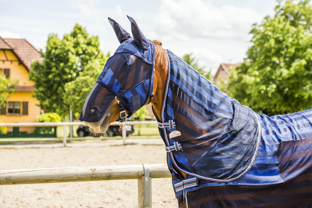 Couvre-cou EQUITHÈME "rafraichissant"