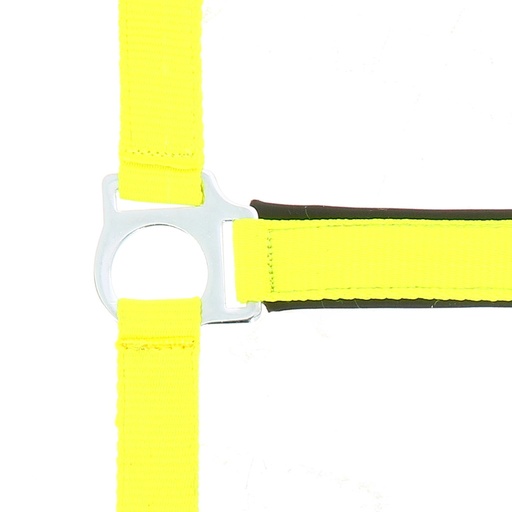 Licol NORTON "Fluo" doublé