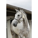 Licol EQUITHÈME "Polyfun"