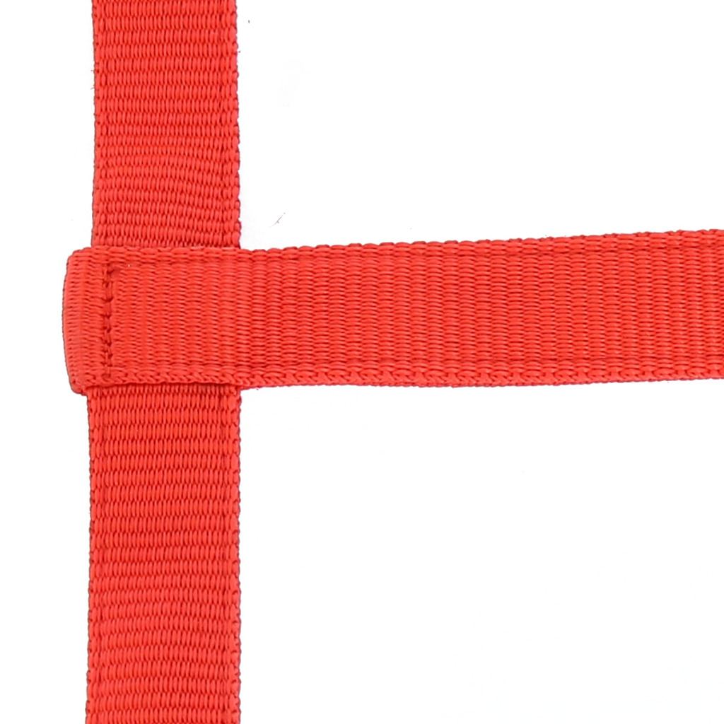 Licol NORTON sans boucle