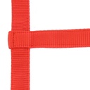 Licol NORTON sans boucle