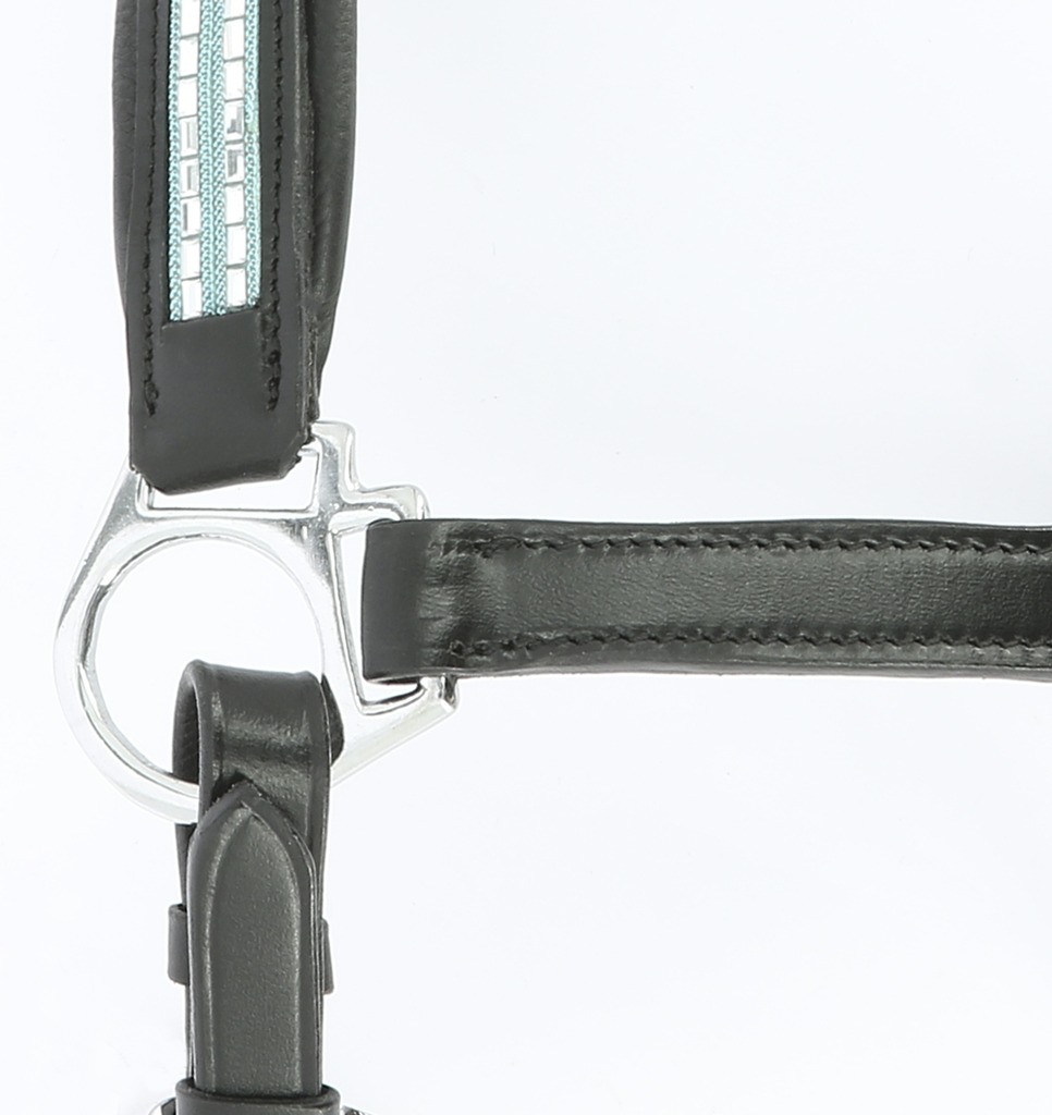 Licol cuir NORTON PRO "Diadème"