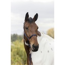 Licol + longe NORTON "Rose gold"