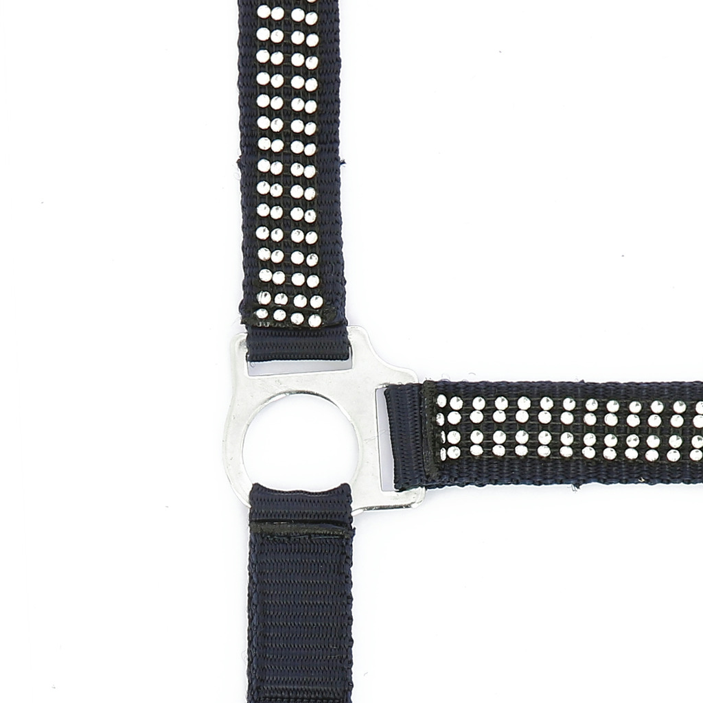 Licol NORTON "Diamond"