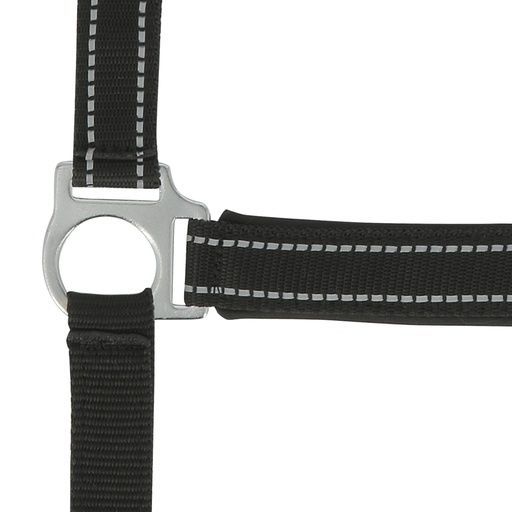 Licol NORTON "Reflective"