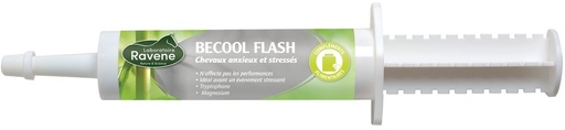 [718038030] Becool Flash RAVENE