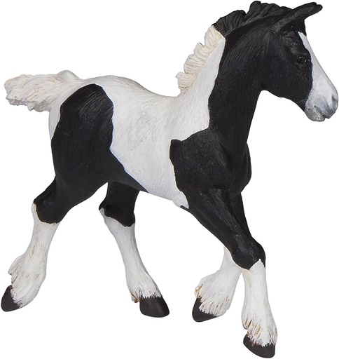 [905051508] Poulain Cob irlandais noir PAPO
