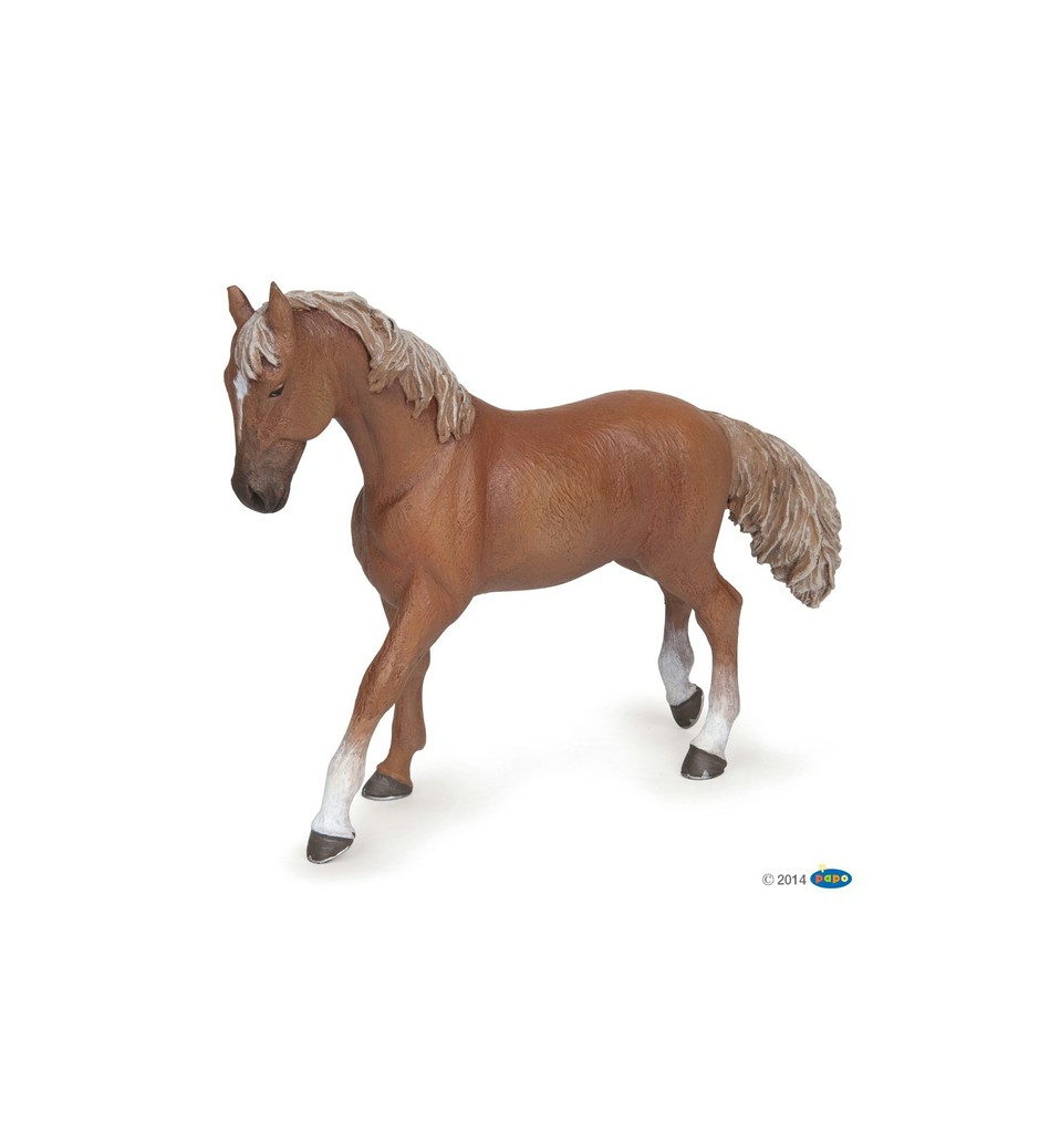 [905051533] Jument pur-sang anglaise alezan PAPO