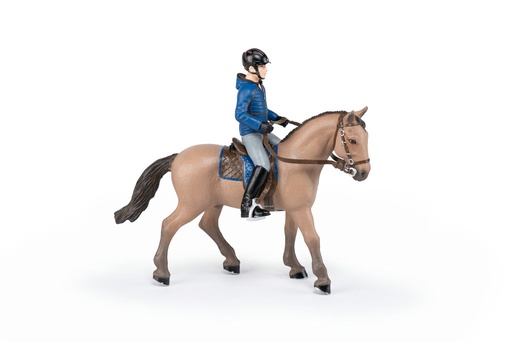 [905051565] Cheval de promenade et son cavalier PAPO