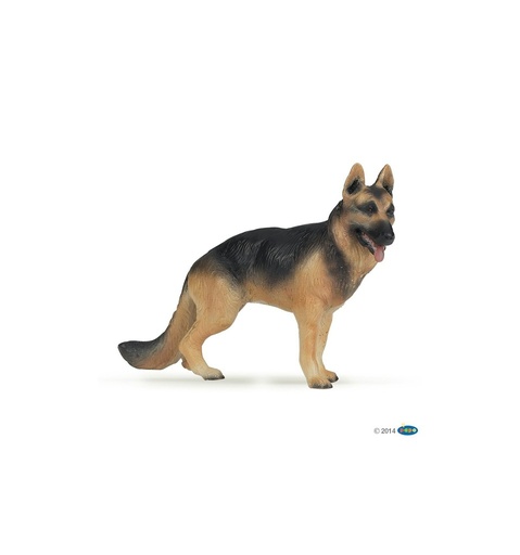 [905054004] Berger allemand PAPO