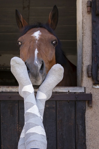 Chaussettes EQUITHÈME "Girly"