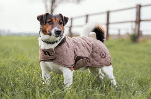 [B32050735] Manteau pour chien BACK ON TRACK® "Haze Collection"