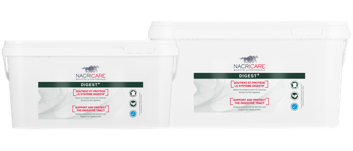 Digest Plus - Ulcère gastrique