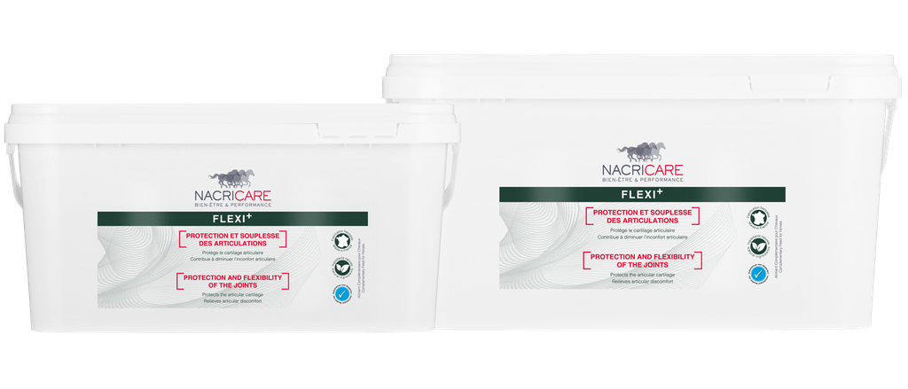 Flexi Plus - Arthrose