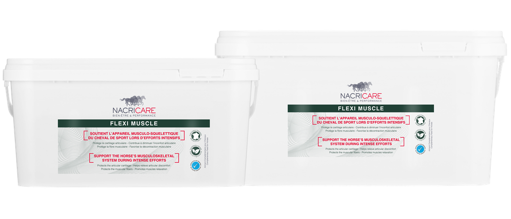 Flexi muscle - Soutien des articulations