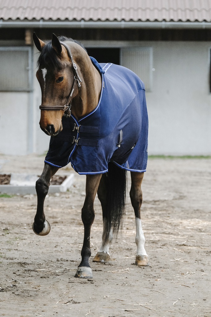 Chemise EQUITHÈME "Classic", 3D mesh