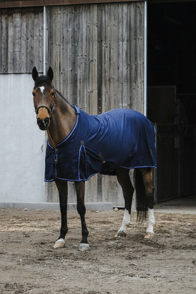 Chemise polycoton EQUITHÈME "Classic"