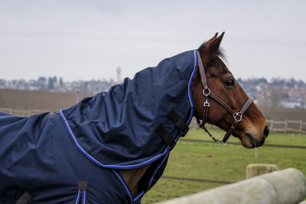 Couvre-cou EQUITHÈME "Classic 1200D"