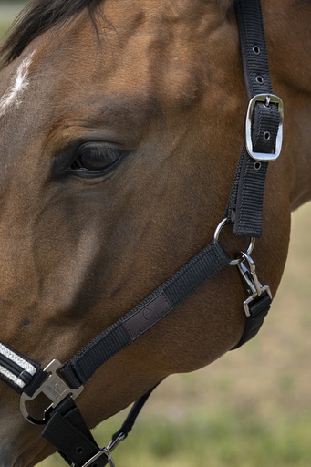 Licol EQUITHÈME "Nylon Chevron"