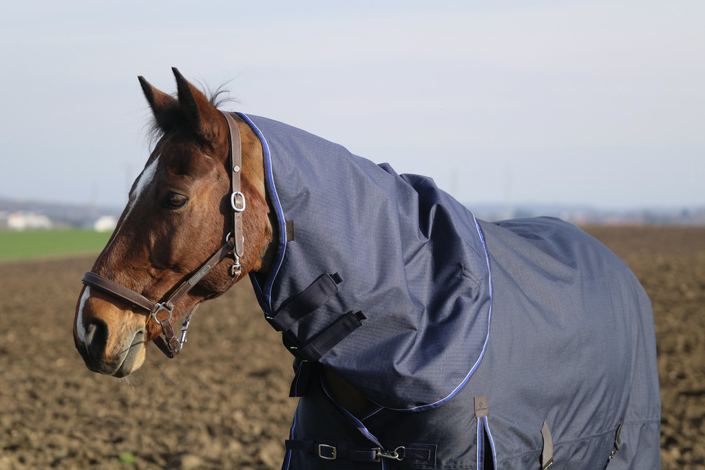 Couvre-cou EQUITHÈME "Classic 600D", 0g