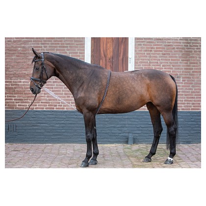 Aide à la longe Soft