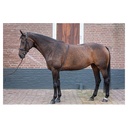 Aide à la longe Soft