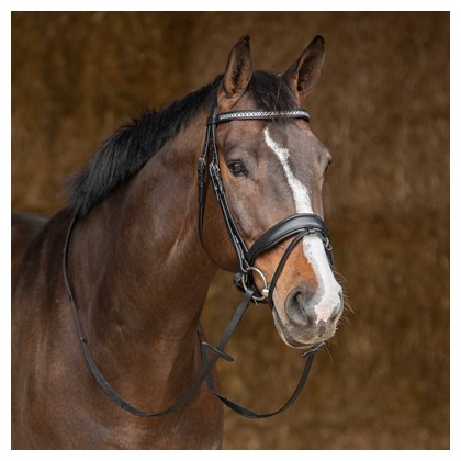 [280000625pony] Bridon Drops