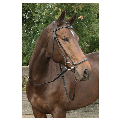 Bridon Muserolle Basse Bronze