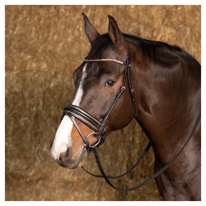 Bridon Rosegold wide