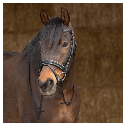 Bridon Sparkle