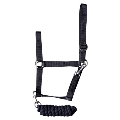 Ensemble licol et longe Initial