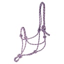 Licol corde