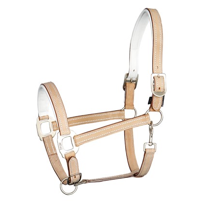 Licol cuir Cremello
