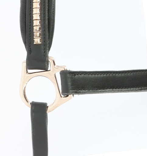 Licol cuir NORTON PRO - "Clincher"