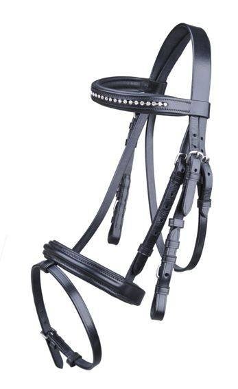 Bridon -Mini Shetty-